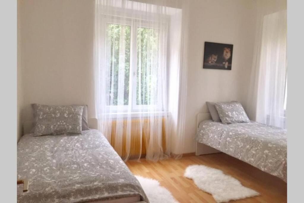 Glow G Διαμέρισμα Μπολζάνο Εξωτερικό φωτογραφία